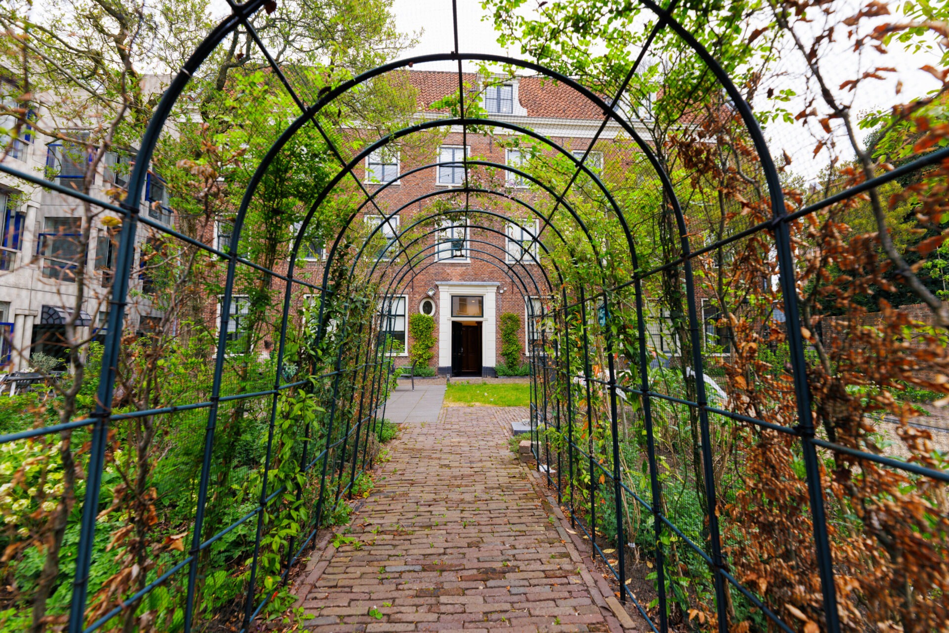 Een klinkerpad loopt door een met groen begroeide, ijzeren boogtunnel in een binnentuin, leidend naar de ingang van een historisch bakstenen gebouw.