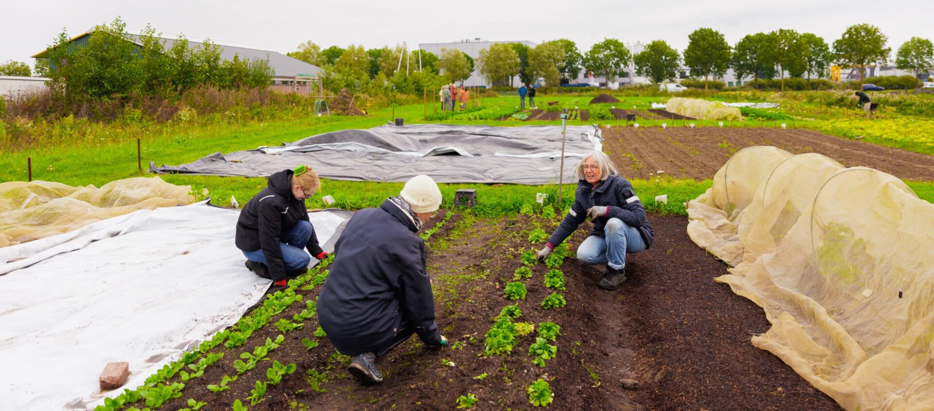 Drie vrouwen werken gehurkt in de aarde van een grote moestuin onder een bewolkte hemel.